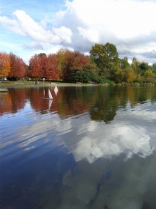 Boats on Trout Lake