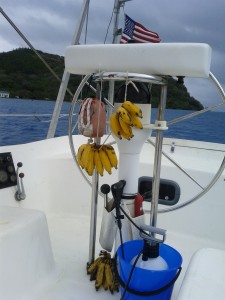 Bananas on the boat