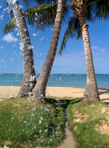 View from one of the nearby showers