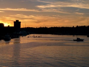 Sunset looking over Coal Harbour