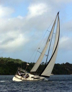 A friendly little race around the bay at Neiafu, Vava'u, Tonga - 16 years ago this month!